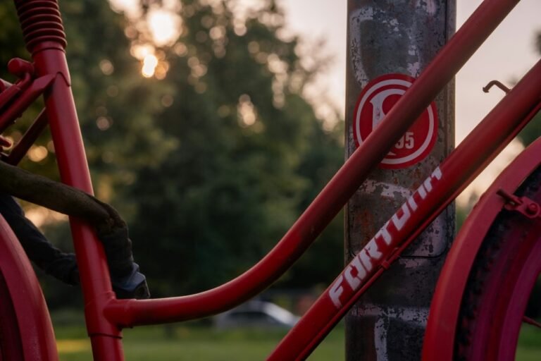 FC Düsseldorf - eine Legende im Fußball