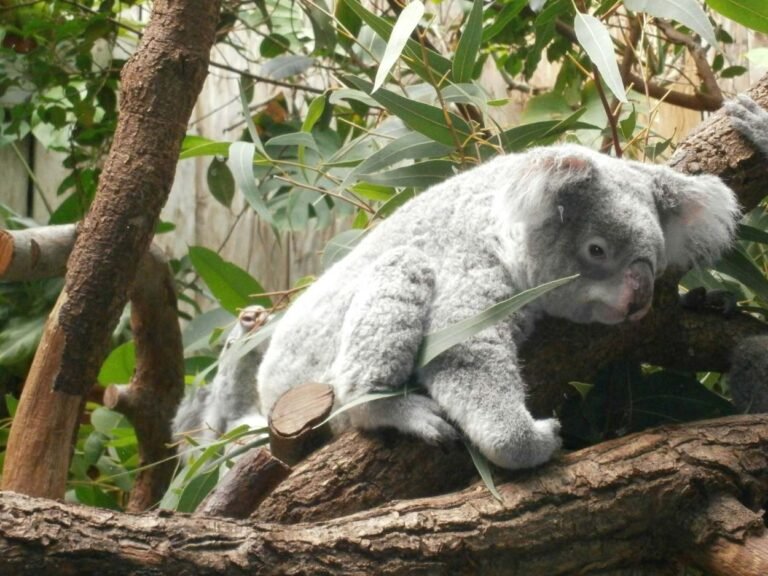 Zoo Duisburg Highlights