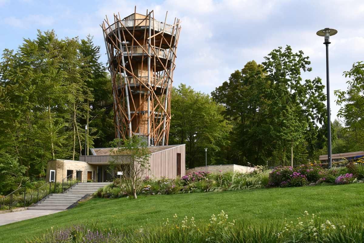 Bad Iburg Baumwipfelpfad im Fokus