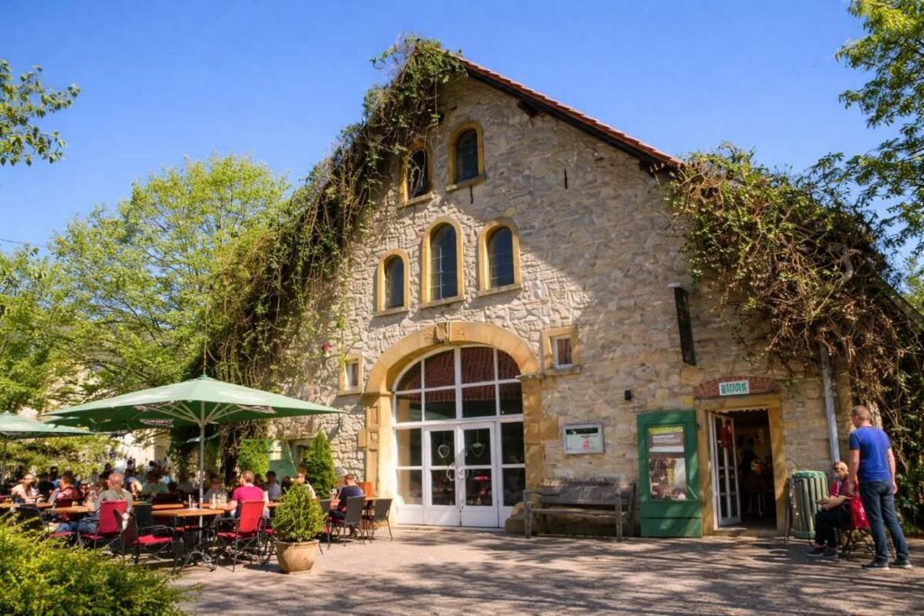 Tierpark Olderdissen: Was kann man dort entdecken?