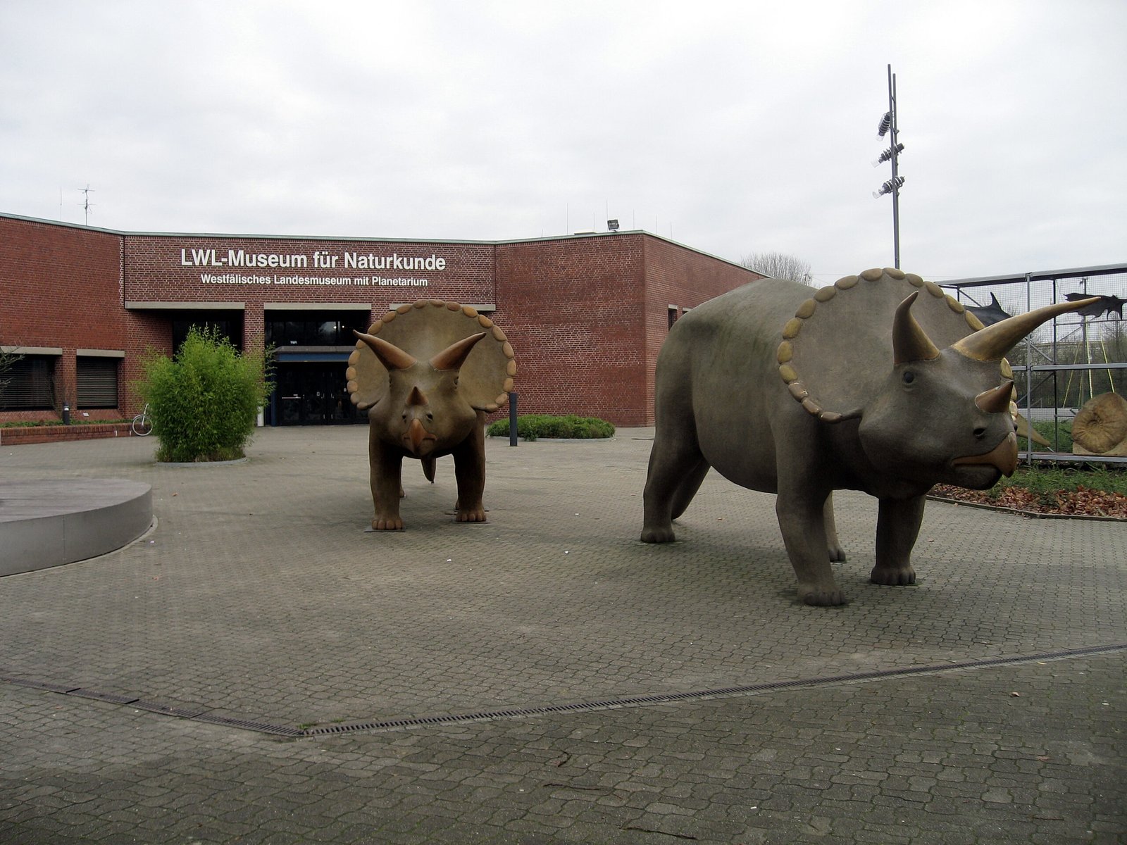 Naturkundemuseum Münster Eingang des LWL-Museums für Naturkunde